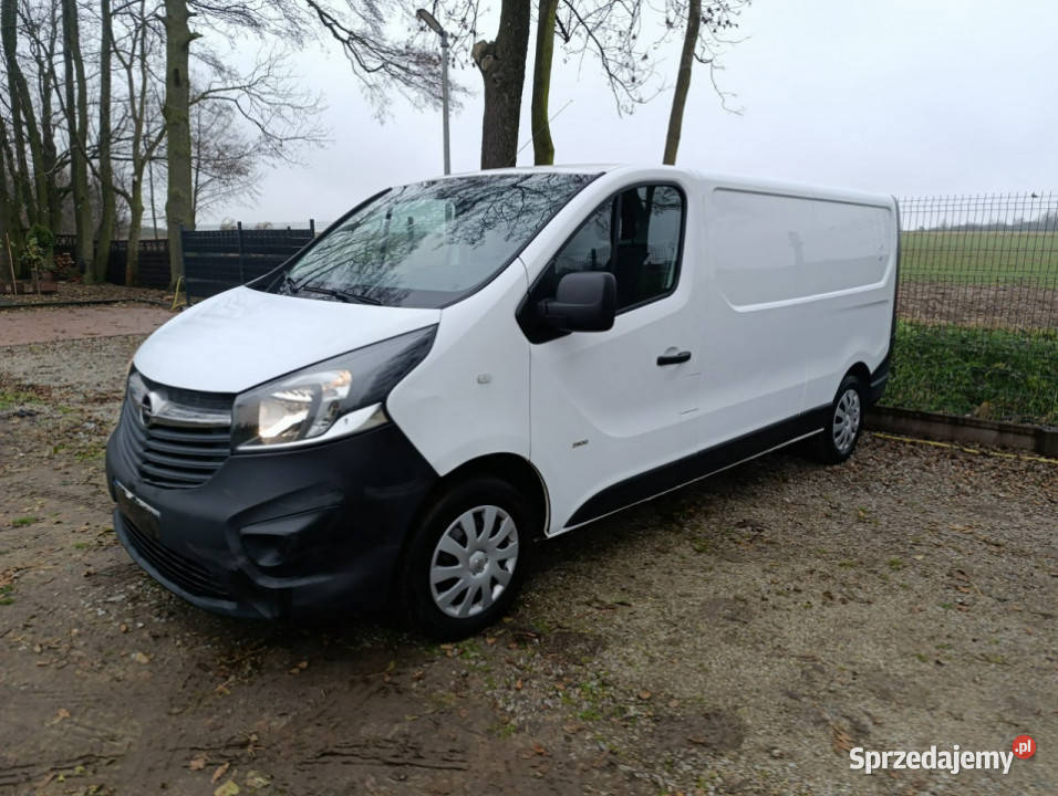 Opel Vivaro Vivaro Long 78 1600cm3 wielkopolskie Pleszew