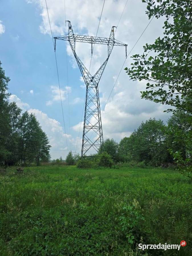 Sprzedaż nieruchomości gruntowej Dębe Wielkie Sprzedaż mazowieckie sprzedam