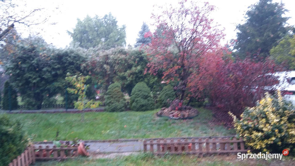 Działka ROD Złgotowska II z altaną Poznań