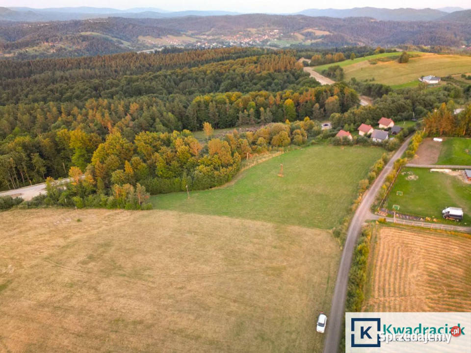 Działkę sprzedam 4633m2 Rybne 4633m2 sprzedam