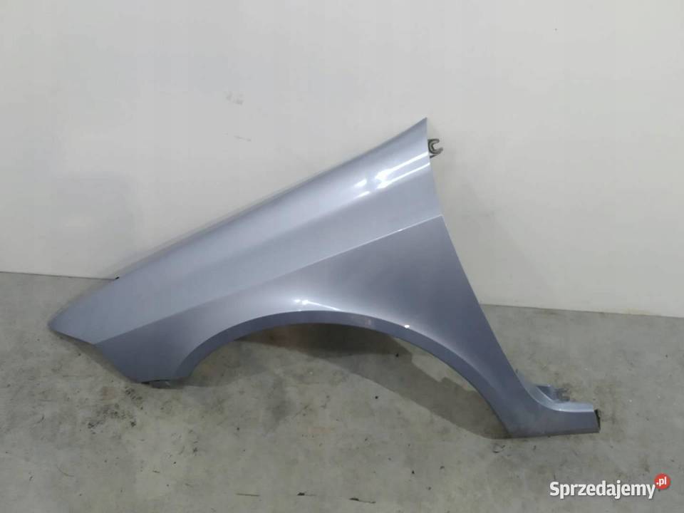 BŁOTNIK LEWY PRZÓD Renault Laguna II 20002007 Rok produkcji 2001