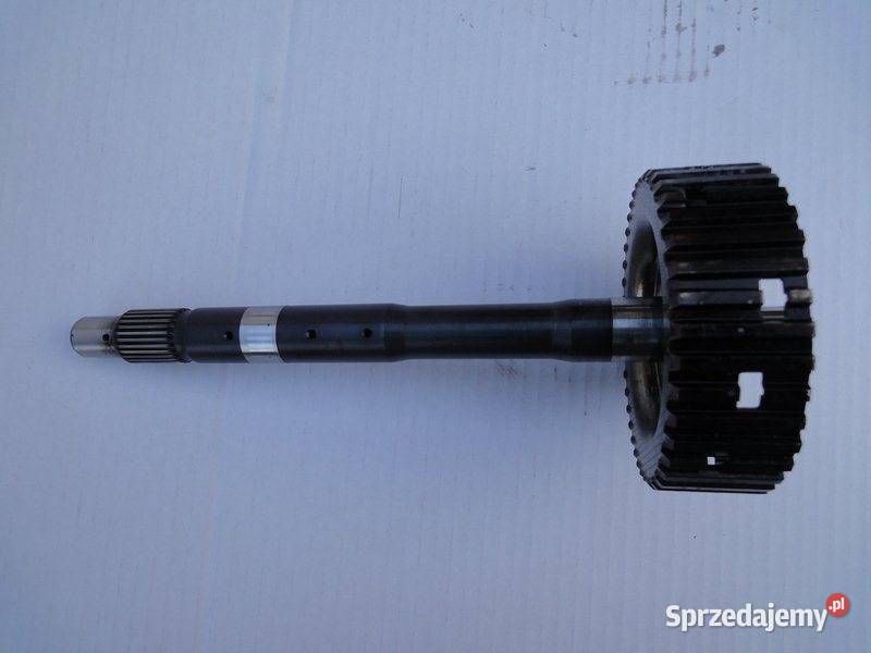 5HP24 ZABIERAK KOSZA SPRZEGLOWEGO A WALEK wielkopolskie Przemęt
