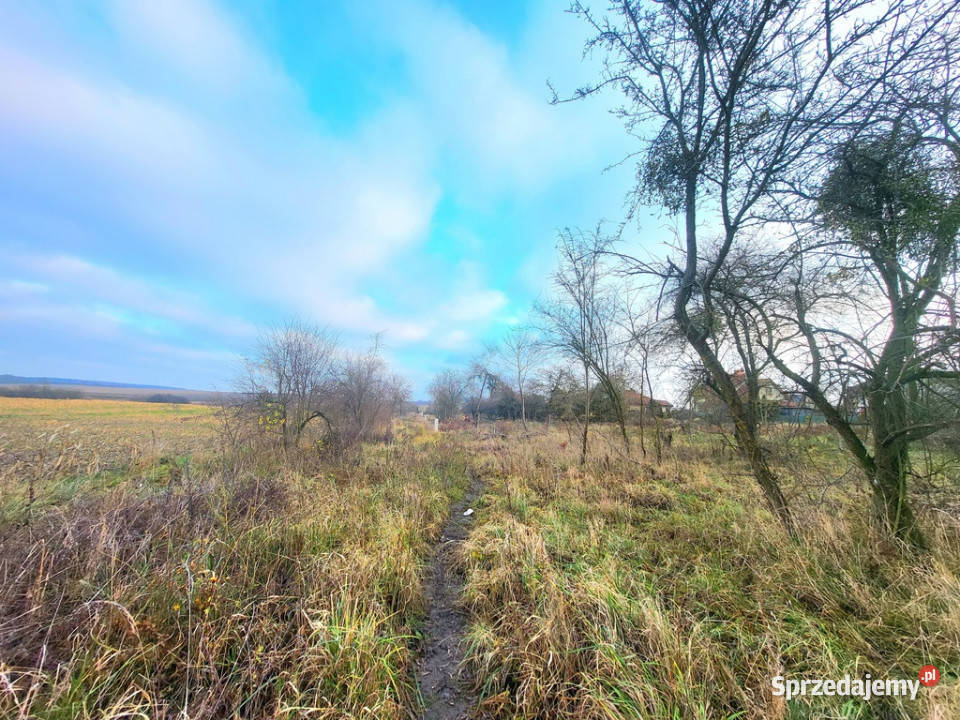 Działka inwestycyjna pod 7 domów 14 bliźniaków Dołuje