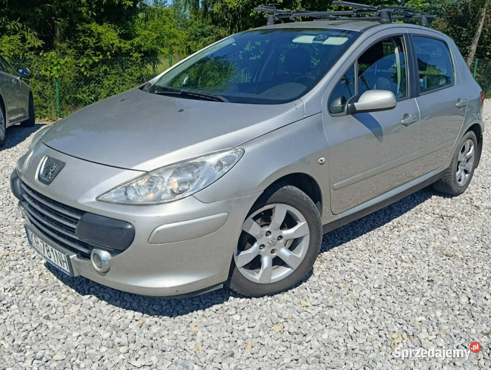 Peugeot 307 Krajowy benzyna 16 klimatyzacja II srebrny 307 Dulowa