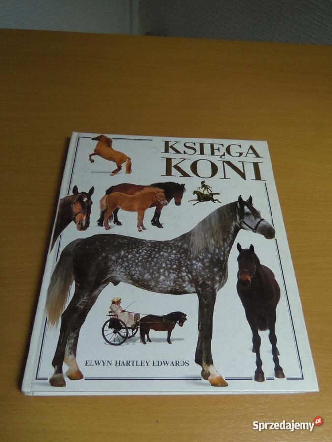 KSIĘGA KONI Kraków