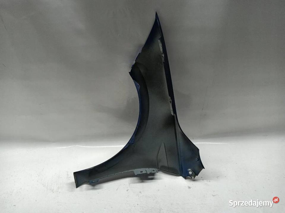 BŁOTNIK PRAWY PRZÓD PRZEDNI VW POLO VI 2G0821106 osobowe