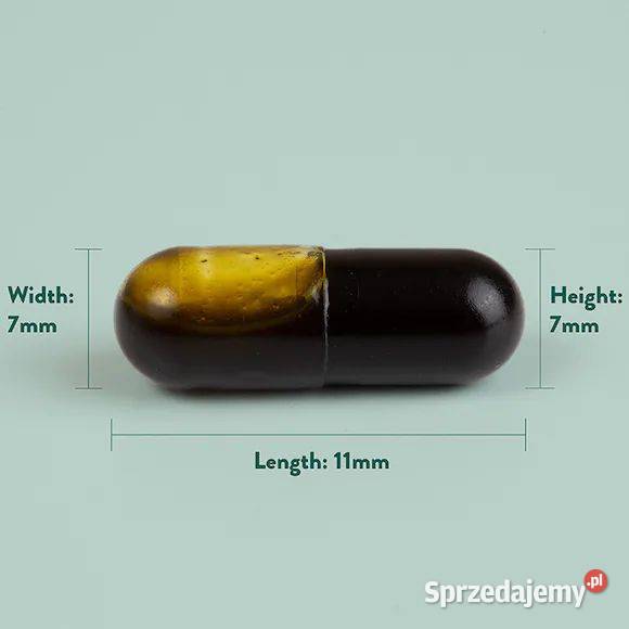 Jacob Hooy CBD 20mg 60 Kapsułek łódzkie Łódź sprzedam
