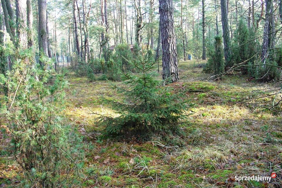 działkę budowlaną w Popowie kSerocka prąd Nieruchomości mazowieckie Popowo-Parcele
