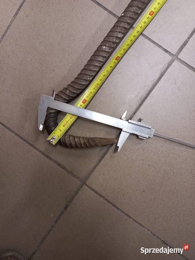 Brecha łom łódzkie Łódź