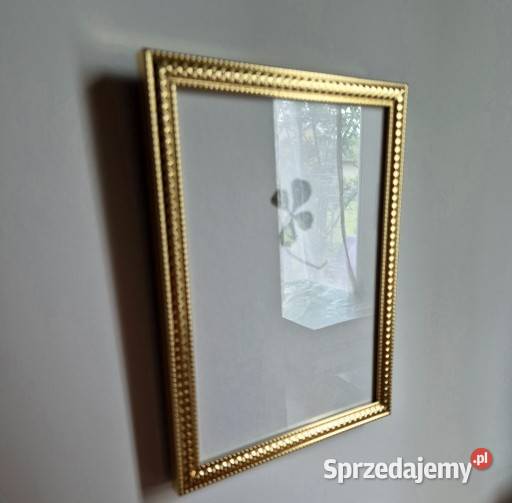 Koniczyna czterolistna ślubny prezent prezent Brzesko sprzedam