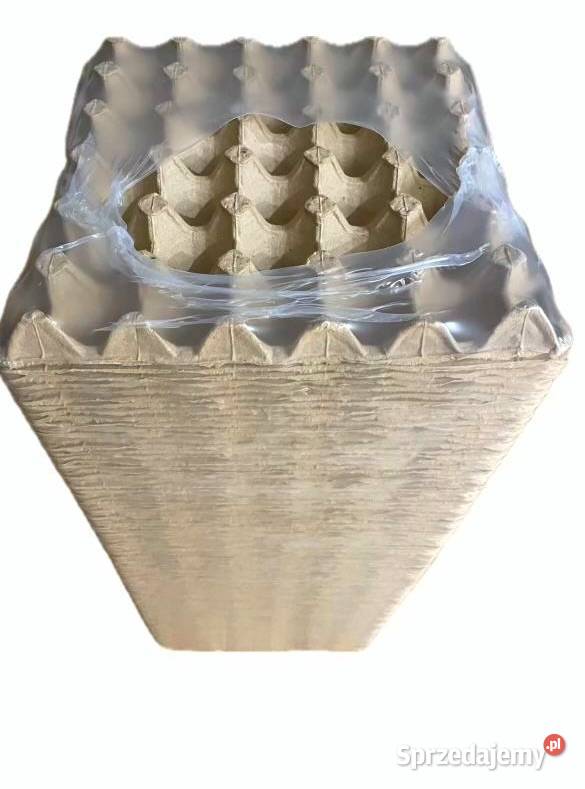 Wytlaczanki na jaja kurze na 30 jaj warmińsko-mazurskie Iława