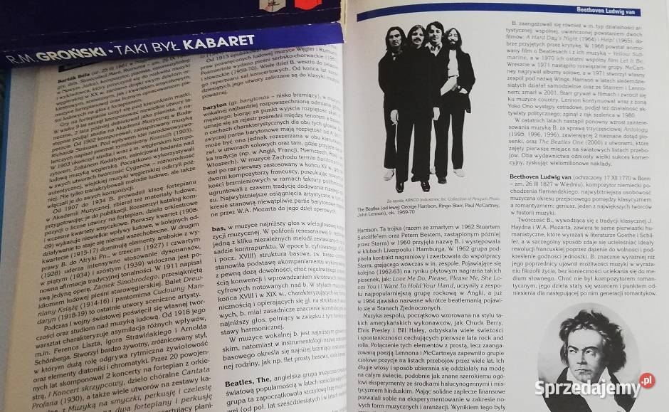 Encyklopedia Audiowizualna Britannica Muzyka Rok wydania 2006 Wronki