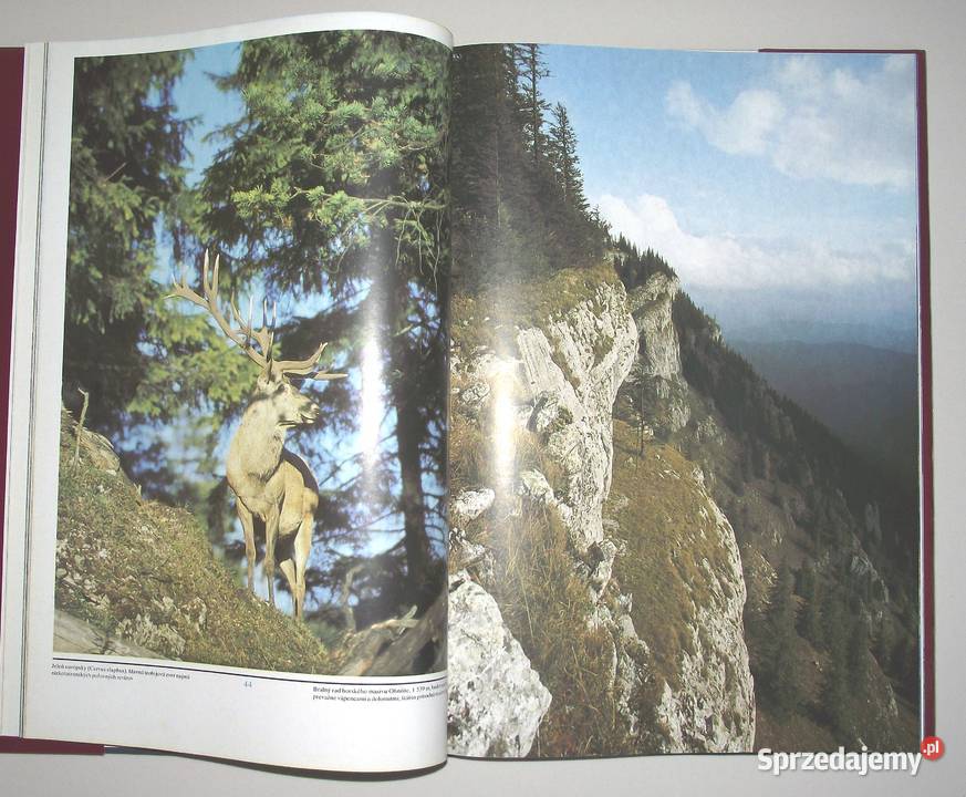 x MŁ Tatry Niżne Zachodnie Wysokie Bielskie Warszawa