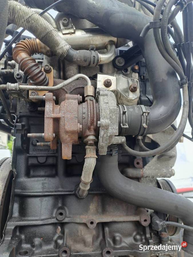 Skoda Roomster Volkswagen Polo 9n3 14TDi 70 Jastrzębie-Zdrój