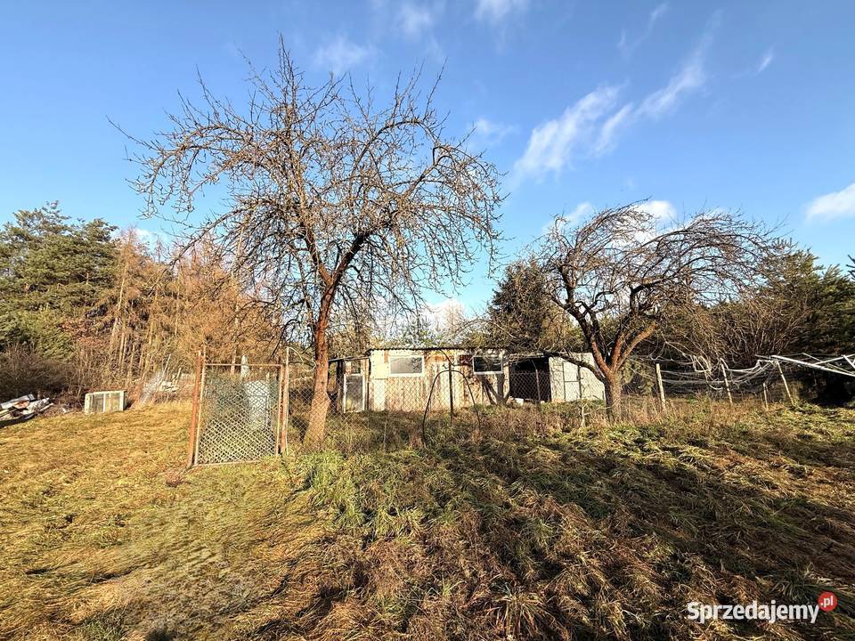 Dom z dużą działką i lasem w Nowinach Brdowskich Nowiny Brdowskie sprzedam