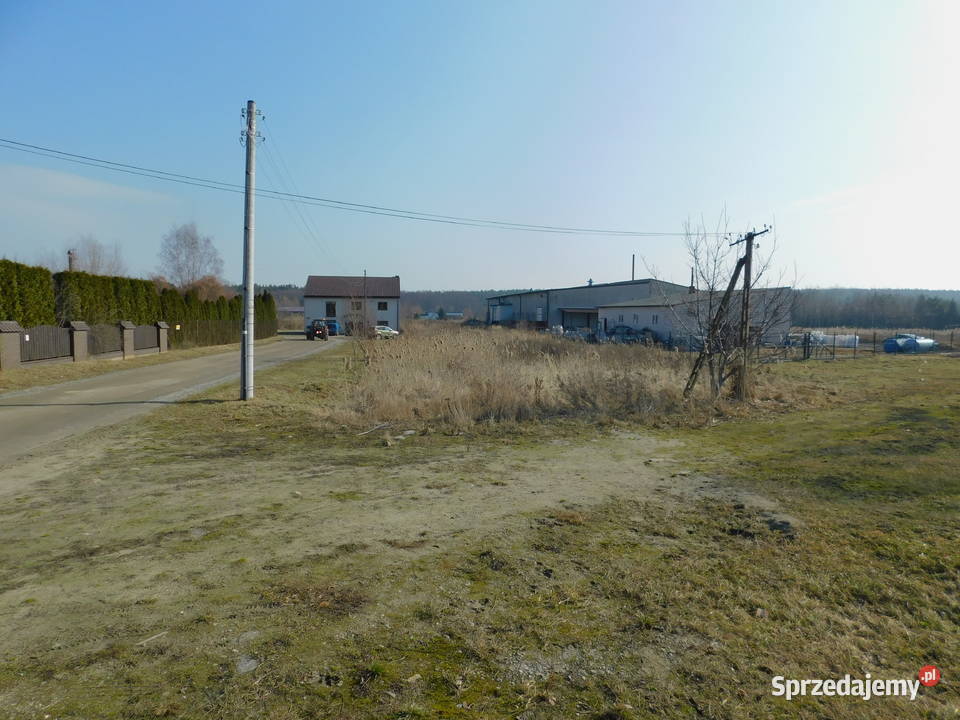 Syndyk sprzeda Mogielnica dz 16532 sprzedam