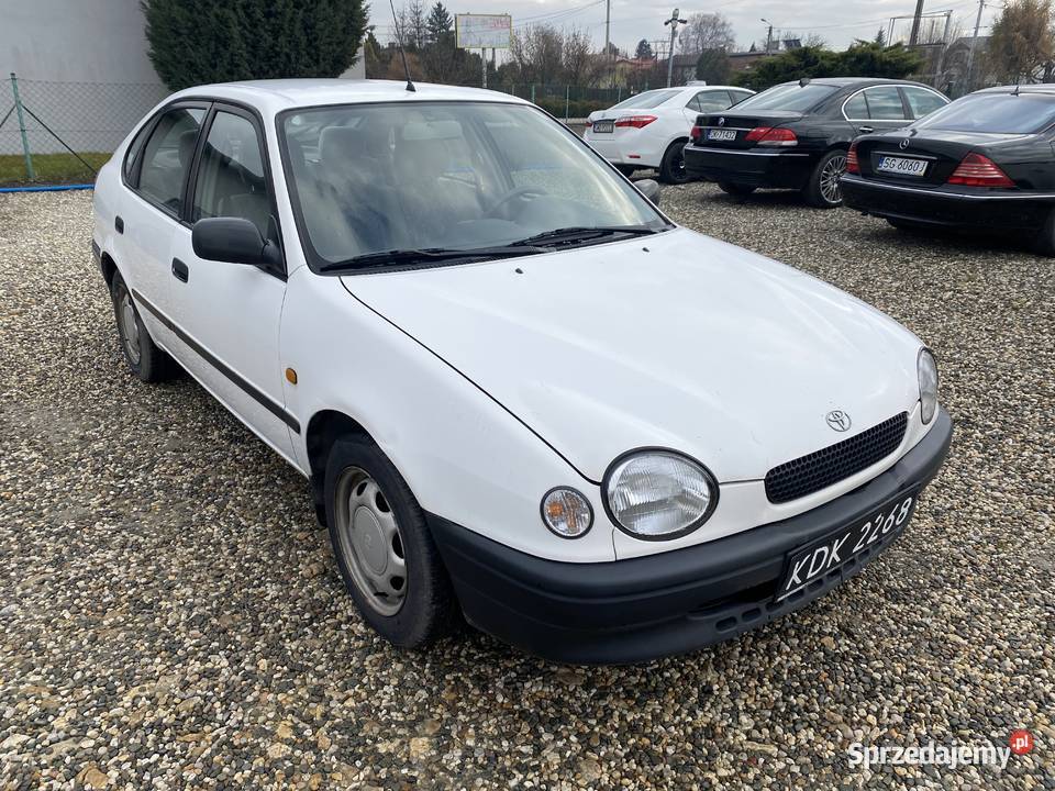 Toyota Corolla biały Paniówki