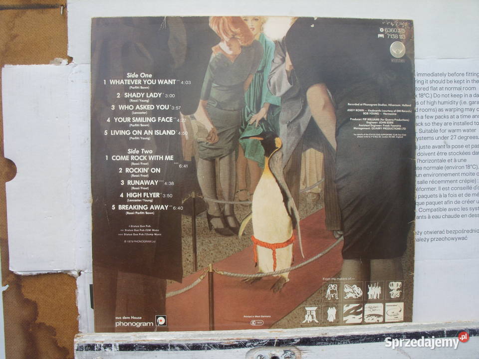 Winyl LP STATUS QUOWHATEVER YOU 1979