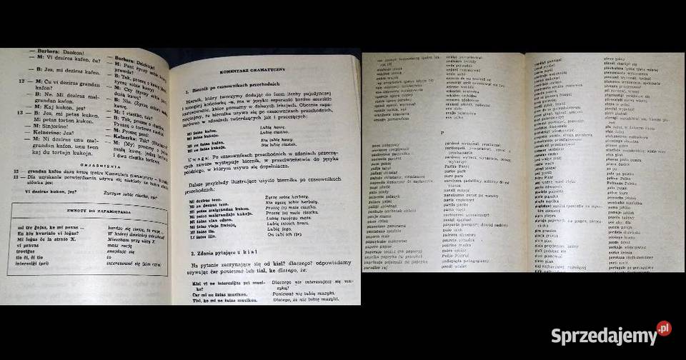 Cu vi parolas esperante Andrzej Pettyn lubelskie