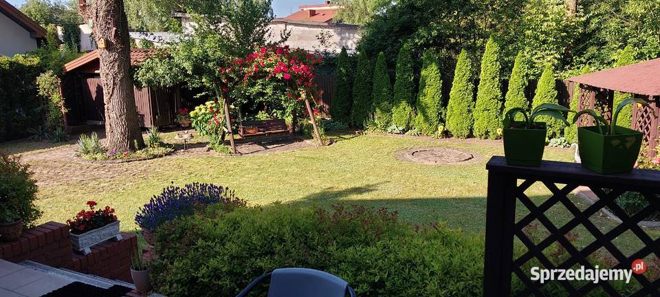 Dom jednorodzinny wolnostojący Sprzedaż Michałów-Reginów