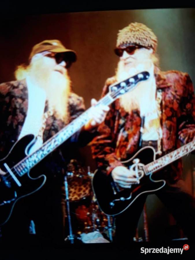 Archiwum blues rocka ZZ TOP ZZ Tops First Album Rzeszów