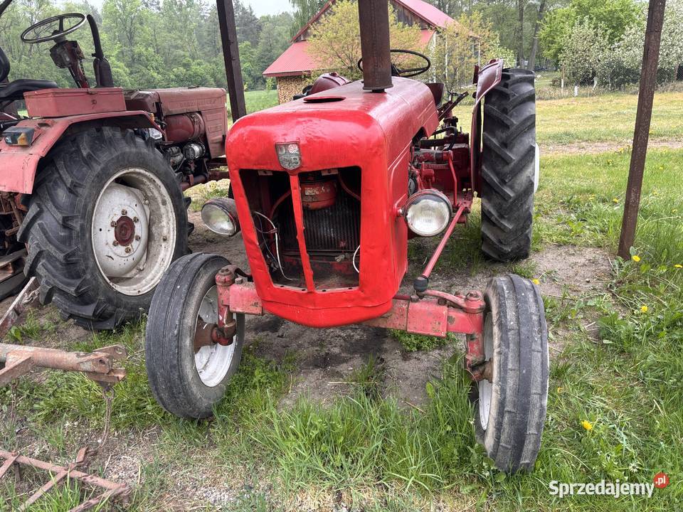 stary ciągnik traktor David Brown perkins 3 Kosianka-Boruty