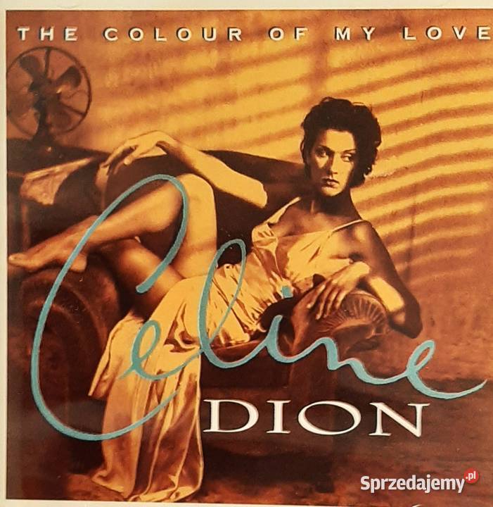 Wspaniały Album CD CELINE DION A Day Has Come CD 1 płyta Chorzów