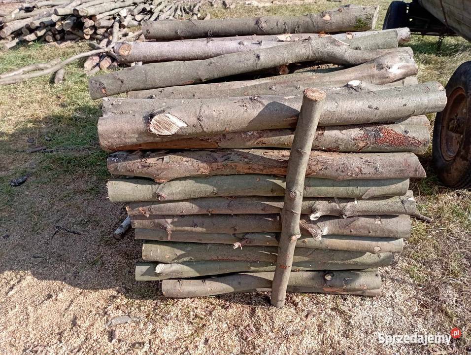 Drewno opałowekominkowe mazowieckie