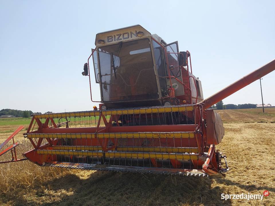 Bizon rekord czeski export Piotrków Trybunalski