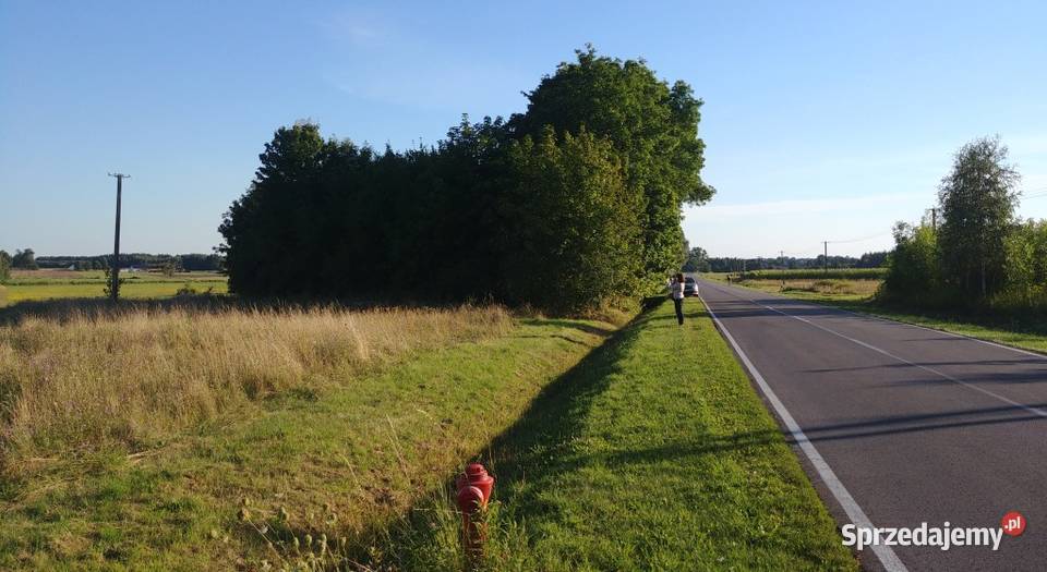 Sulejów gm Jadów 50 min Wawy sprzedam