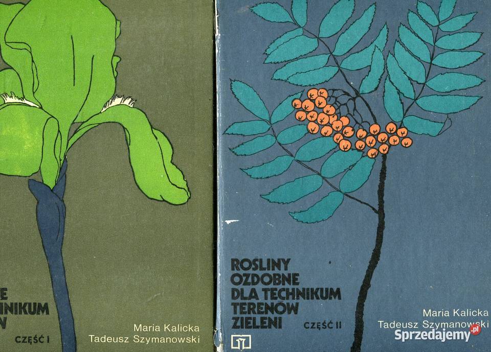 Rośliny ozdobne technikum terenów zieleni T12 Szczecin