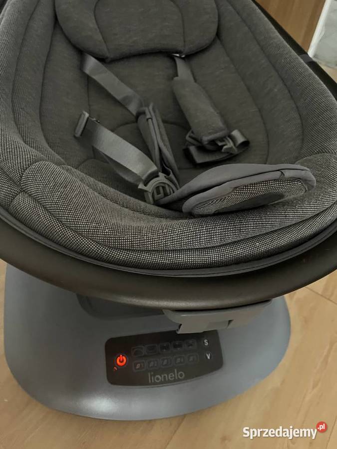 Bujaczek lionelo lubelskie Puławy