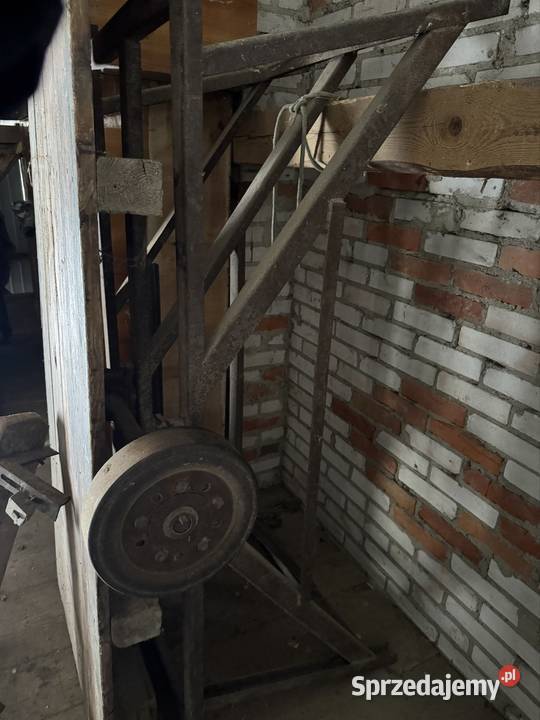 Cerkularka krajzega lubelskie Frampol