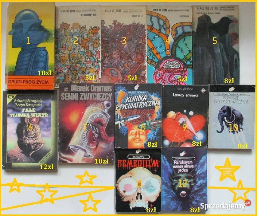 Raz w roku w Skiroławkach Nienacki literatura