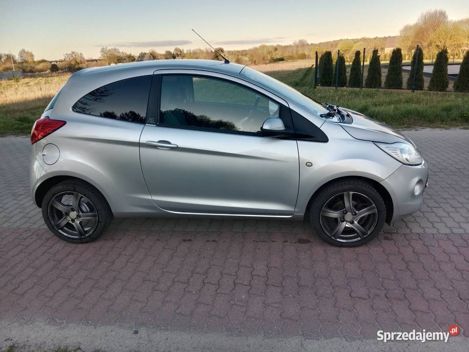 Ford ka 2009 Dębno