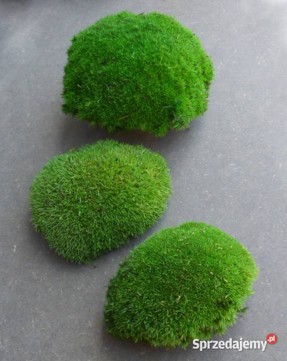 Mech Poduszkowy PREMIUM Medium Green 600g śląskie