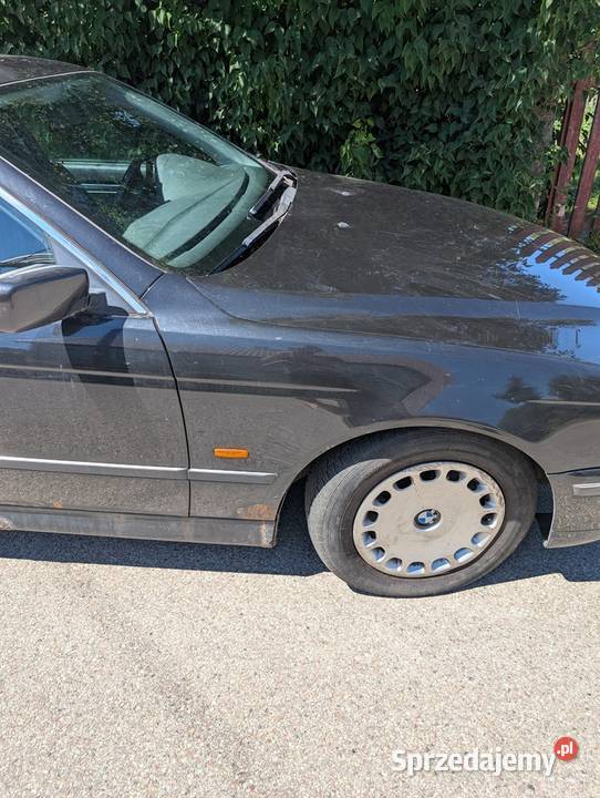 BMW 5 E39 520i 20 M52B20 M52 268 przebiegu manualna Dobrzyniewo Duże