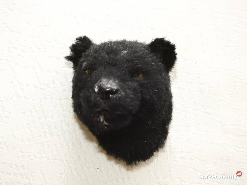 Pantera na magnes podkarpackie Przemyśl sprzedam