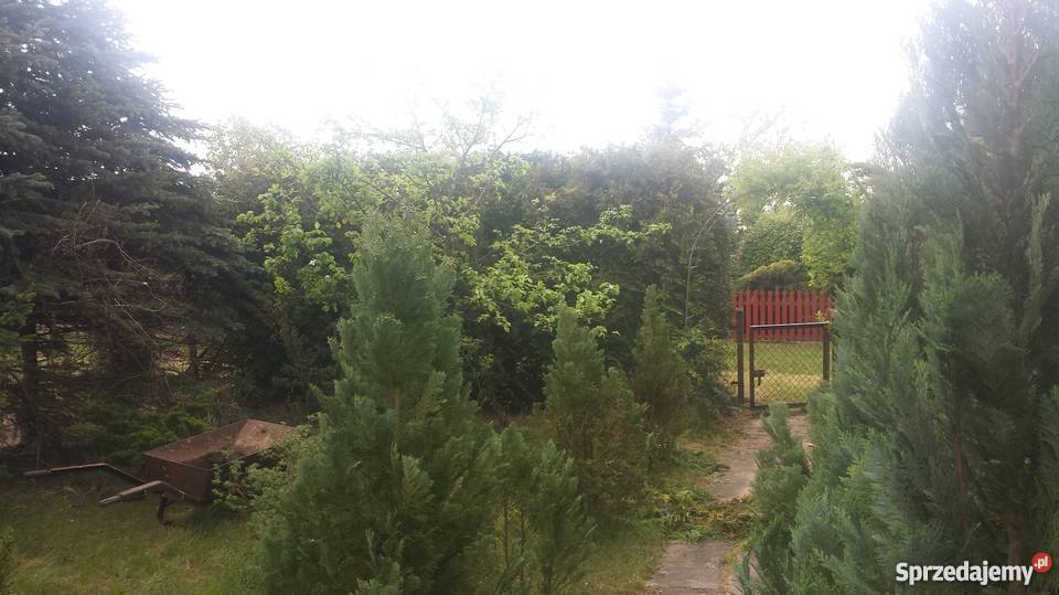 Działka Reakreacyjna325m ROD Pogodny Kalisz