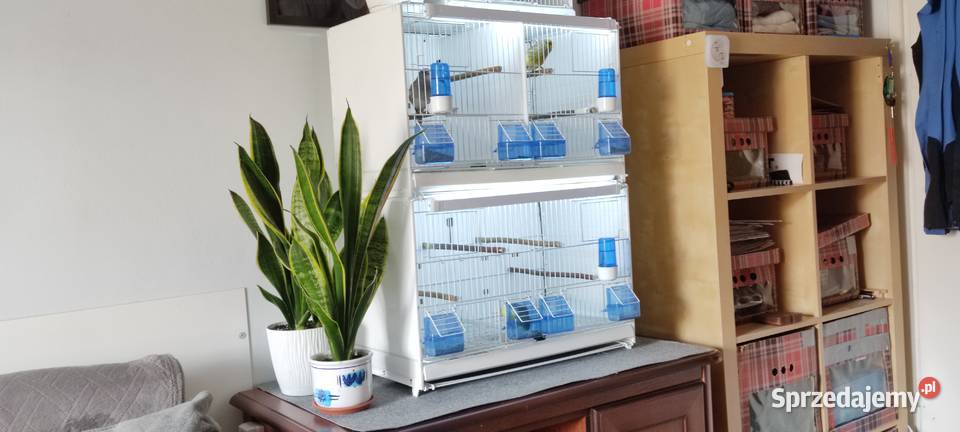 Klatki ptaków Dla ptaków Krosno