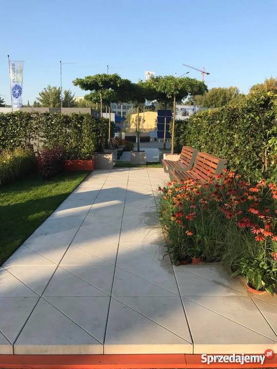 Duża donica na drzewo kujawsko-pomorskie Gajewo