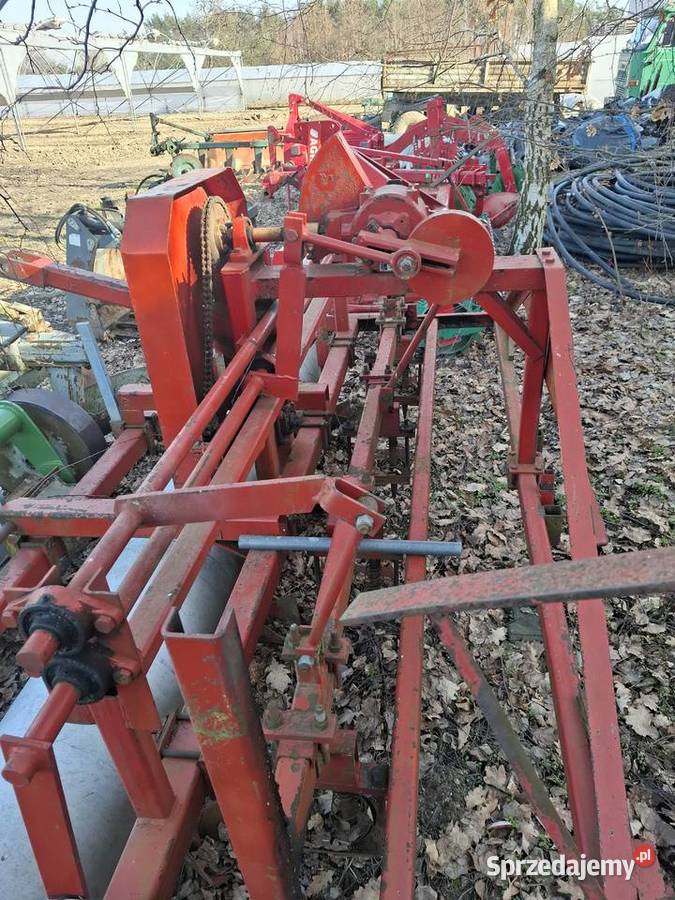 Dołownica do pora mazowieckie