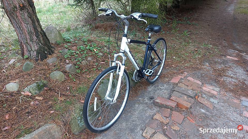 Alu Rower Miejski Cross Diamondback Edgewood 3x7 Wołów