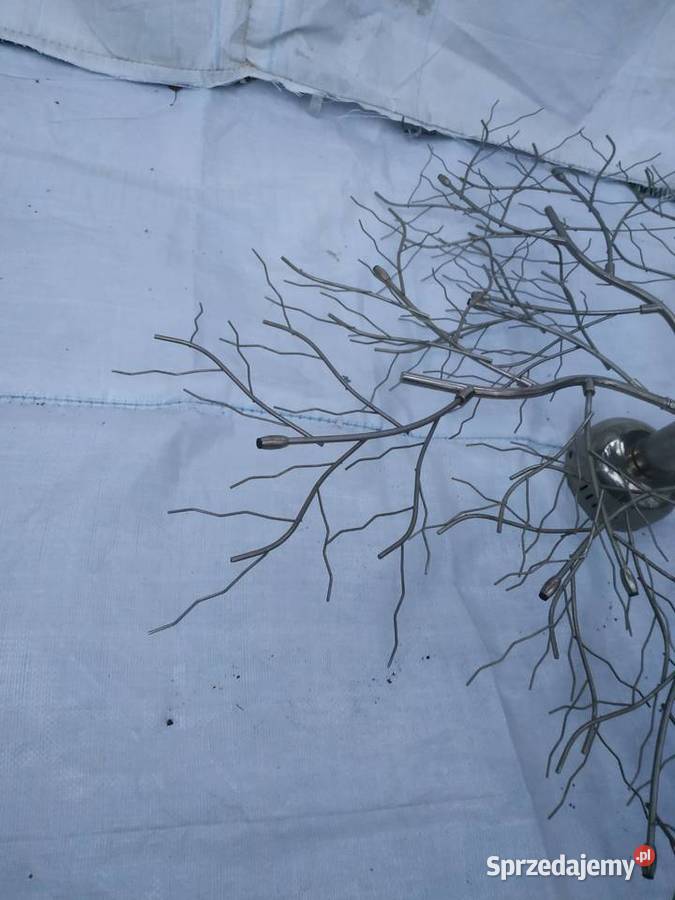 Plafon lampa żyrandol lampka sufitowa ścienna sprzedam