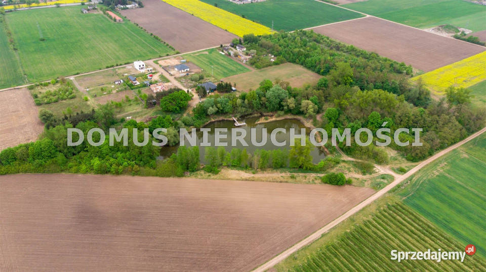 Grunt 43352m2 Kutno 18zł/m2