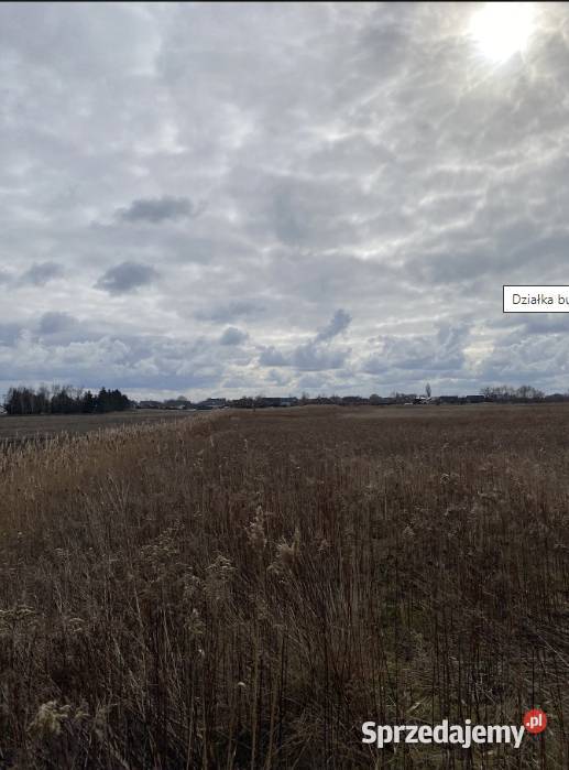Działka Budowlana 1454 m2 Leśna MEDIA 1454m2 Sprzedaż dolnośląskie Dobrzykowice
