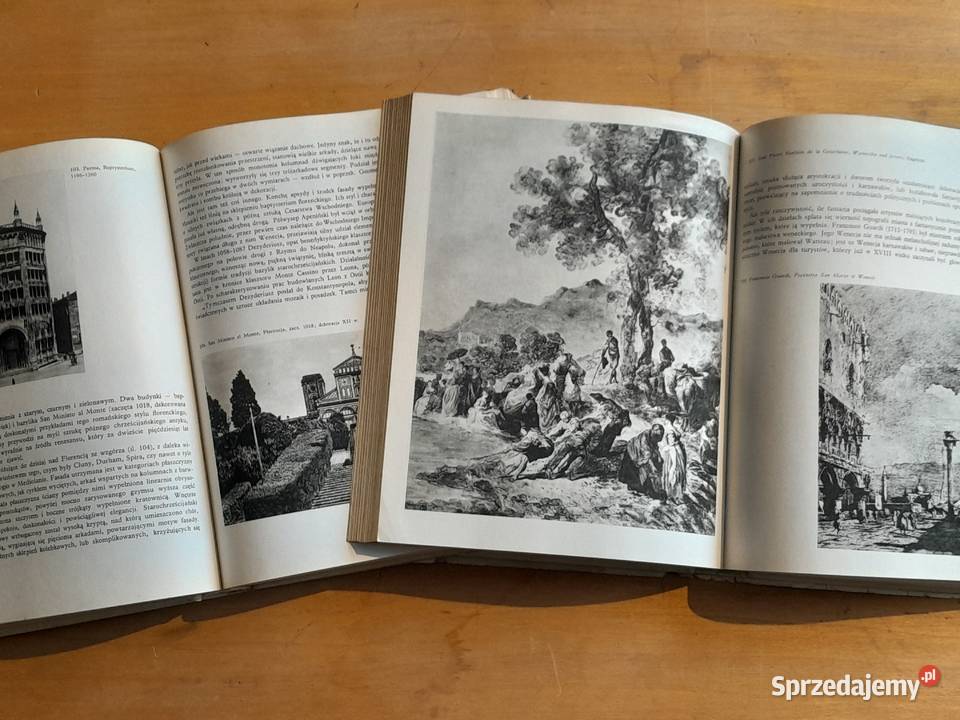 Stara książka Sztuka cenniejsza niż złoto Dąbrowa Górnicza