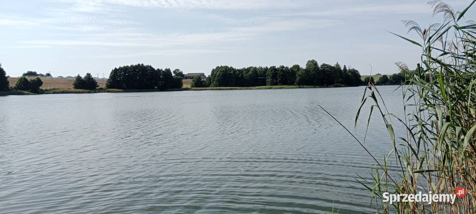 Sprzedam siedlisko jeziorem 5000m2 Szczuka