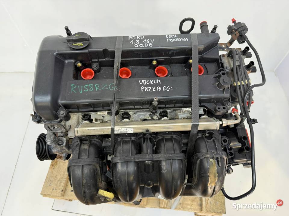 SILNIK QQDB Ford Focus II MK2 C C 18 16V 125 Chełm