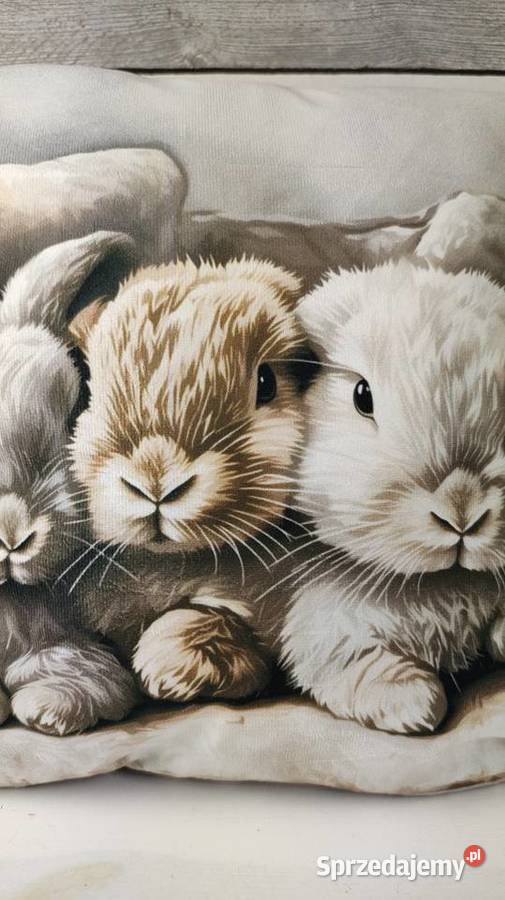 Poszewka na poduszkę łódzkie Łódź